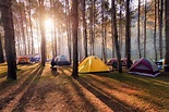 Camping 101: How to Gear Up for a Summer Outdoors - EcoWatch