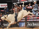 The Dangers and Training for Bull Riders | ATLX