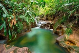 Parque Ecológico el Paraíso de Pedro: visita este espacio natural en ...
