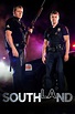 Southland (TV Series 2009-2013) - Posters — The Movie Database (TMDb)