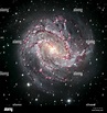 Messier 83, Sur de remolino, la galaxia M83 o NGC 5237 es una galaxia ...