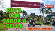 Ruta Tingo María - Pucallpa - YouTube