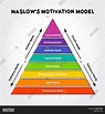 Maslow's Hierarchy Image & Photo (Free Trial) | Bigstock