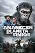 El Amanecer Del Planeta De Los Simios 2014 - Pelicula - Cuevana 3