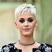 Know More About Katy Perry Biography, Music, Career And Early Life