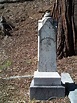 Rosanna Flanagan (1829-1888) – Memorial Find a Grave