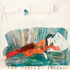 Annette Peacock – The Perfect Release (1979, Vinyl) - Discogs