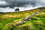 The Wild Moors of Yorkshire on Behance