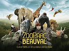 Zoo de Beauval » Vacances - Arts- Guides Voyages