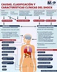 Causas, clasificación y características clínicas del shock - Infografía