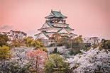 Osaka,Castle,At,Sunset,,Beautiful,Japanese,Temple,Cherry,Blossom,Trees,