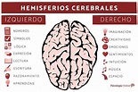 Cuadro Comparativo sobre los Hemisferios cerebrales - Cuadro Comparativo