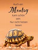 Schönen Montag kostenlos bilder - GBPicsBilder.com