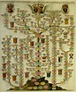 Genealogical chart of the House of Austria with branches of the Princes ...