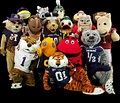 Definitive Ranking Of College Mascots