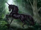 Black Unicorn by feliciacano.deviantart.com on @deviantART | All things ...