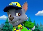 Rocky - PAW Patrol Photo (40263424) - Fanpop