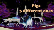 Pink Floyd - Pigs (3 different ones) Psychedelic video - YouTube