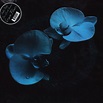 Mike Patton & Jean-Claude Vannier - Corpse Flower - Vinyl LP - 2019 ...