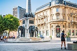 La fontaine des éléphants de Chambéry élue plus belle fontaine de ...