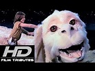The Neverending Story • Theme Song • Limahl - YouTube