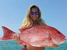 Red Snapper Season 2023: All You Need to Know