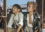 Tom Sawyers und Huckleberry Finns Abenteuer - Trailer, Kritik, Bilder ...