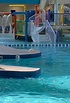 Ray's Splash Planet | Park and Recreation