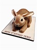 3d rabbit cake | Rabbit cake, Peter rabbit cake, Animal cakes