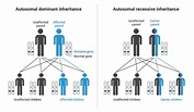 Autosomal Dominant vs Recessive Inheritance | BioRender Science Templates