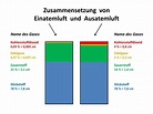 PPT - Zusammensetzung von Einatemluft und Ausatemluft PowerPoint ...