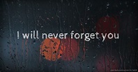 Ill Never Forget You Quotes