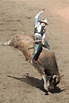 PBR Professional Bull Riders Tickets Are Now Available in Pueblo ...