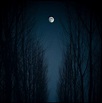 La noche oscura | Moonlight, Night, Wonderful places