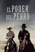 Cómo ver El poder del perro (2021) en streaming – The Streamable (CO)