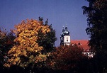 Reichard (Pfalz-Simmern-Sponheim)