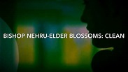 Bishop Nehru- Elder Blossoms (CLEAN VERSION) - YouTube