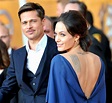 Angelina Jolie Vows to 'Destroy' Brad Pitt in Divorce War