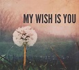My Wish Is You Pictures, Photos, and Images for Facebook, Tumblr ...