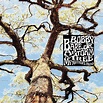 Bobby Bare Jr - A Storm, A Tree, My Mother’s Head - Reviews - Album of ...