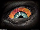 Demonic Eye, crazy eye, eye, HD wallpaper | Peakpx