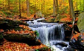 Free photo: Autumn Stream - Antique, Scenery, Outdoor - Free Download ...