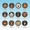 11 Types of Bears From Around the World – Nayturr