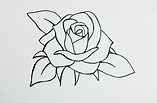 Basic Rose Drawing at PaintingValley.com | Explore collection of Basic ...