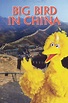 ‎Big Bird in China (1983) directed by Jon Stone • Reviews, film + cast ...