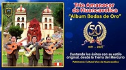 Trio Amanecer de Huancavelica "ÁLBUM BODAS DE ORO" - YouTube