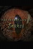 ‎The Secret Life of Snakes (2016) • Reviews, film + cast • Letterboxd