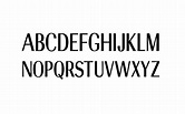 Versace Font Free Download - Fonts Monster