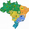 As 5 regiões do brasil e suas principais características – Artofit