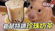 【維鼠日記】倉鼠特調珍珠奶茶！原來鼠鼠超愛喝？【維特】#80 - YouTube